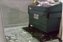 DumpsterBefore