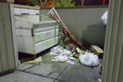 DumpsterTwoBefore